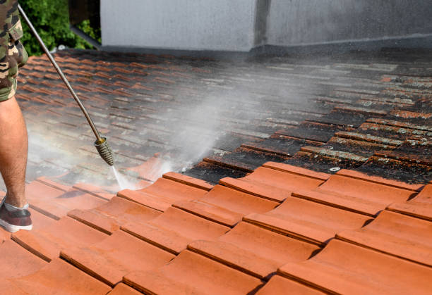 Best House Pressure Washing  in Siesta Key, FL